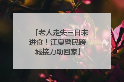 老人走失三日未进食！江夏警民跨城接力助回家