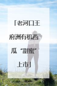 老河口王府洲有机西瓜“甜蜜”上市