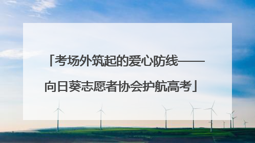 考场外筑起的爱心防线——向日葵志愿者协会护航高考
