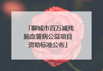 聊城市百万减残脑血管病公益项目资助标准公布