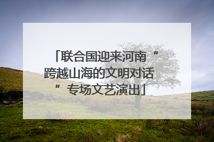 联合国迎来河南“跨越山海的文明对话”专场文艺演出