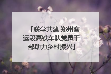 联学共建 郑州客运段高铁车队党员干部助力乡村振兴