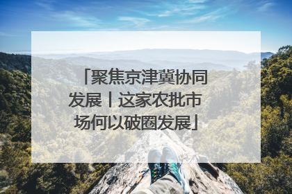 聚焦京津冀协同发展丨这家农批市场何以破圈发展