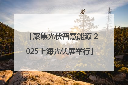 聚焦光伏智慧能源 2025上海光伏展举行