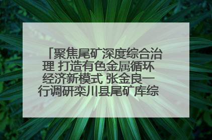 聚焦尾矿深度综合治理 打造有色金属循环经济新模式 张金良一行调研栾川县尾矿库综合治理工作