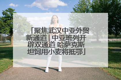聚焦武汉中亚外贸新通道│中亚班列开辟双通道 哈萨克斯坦饲用小麦将抵鄂