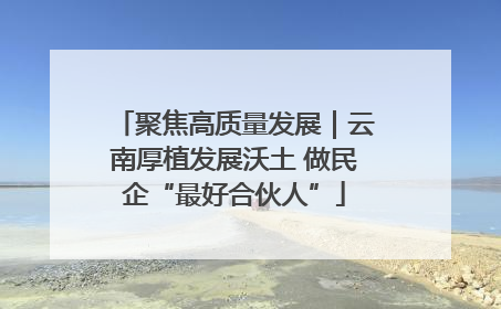 聚焦高质量发展｜云南厚植发展沃土 做民企“最好合伙人”