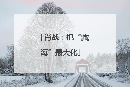 肖战：把“藏海”最大化