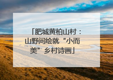 肥城黄柏山村：山野间绘就“小而美”乡村诗画
