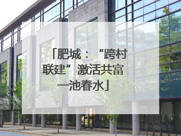肥城：“跨村联建”激活共富一池春水