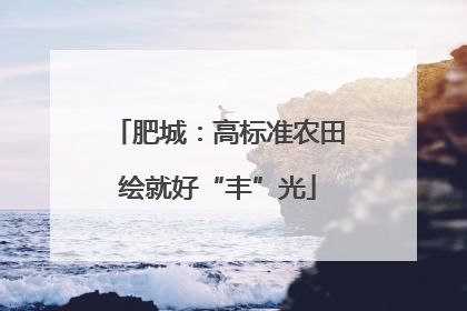 肥城：高标准农田绘就好“丰”光