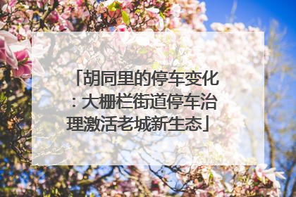 胡同里的停车变化：大栅栏街道停车治理激活老城新生态