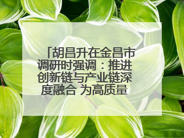 胡昌升在金昌市调研时强调：推进创新链与产业链深度融合 为高质量发展塑造新动能新优势