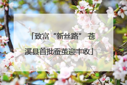 致富“新丝路” 苍溪县首批蚕茧迎丰收