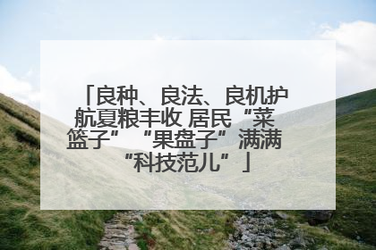 良种、良法、良机护航夏粮丰收 居民“菜篮子”“果盘子”满满“科技范儿”