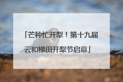 芒种忙开犁！第十九届云和梯田开犁节启幕