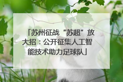 苏州征战“苏超”放大招：公开征集人工智能技术助力足球队
