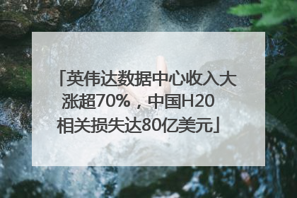 英伟达数据中心收入大涨超70%，中国H20相关损失达80亿美元