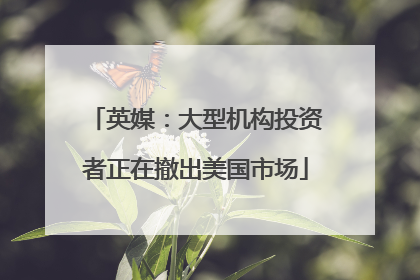 英媒：大型机构投资者正在撤出美国市场
