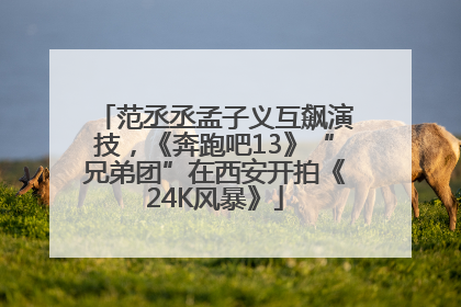范丞丞孟子义互飙演技，《奔跑吧13》“兄弟团”在西安开拍《24K风暴》