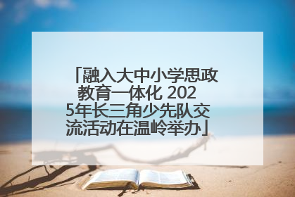 融入大中小学思政教育一体化 2025年长三角少先队交流活动在温岭举办