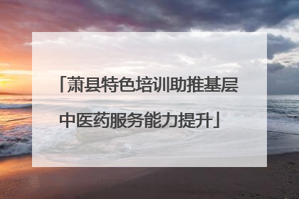 萧县特色培训助推基层中医药服务能力提升