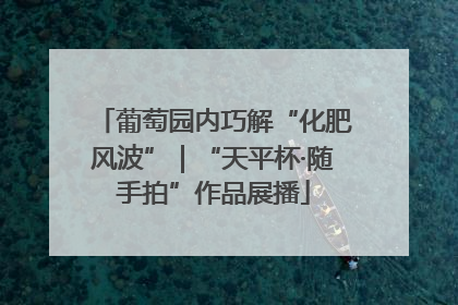 葡萄园内巧解“化肥风波”｜“天平杯·随手拍”作品展播