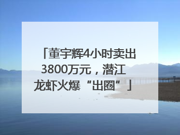 董宇辉4小时卖出3800万元，潜江龙虾火爆“出圈”
