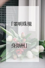 董明珠现身郑州