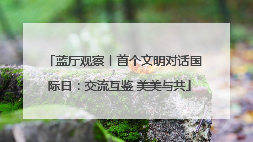 蓝厅观察丨首个文明对话国际日：交流互鉴 美美与共