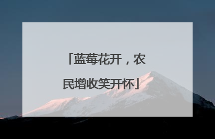 蓝莓花开，农民增收笑开怀