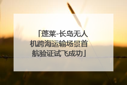 蓬莱-长岛无人机跨海运输场景首航验证试飞成功