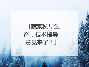 蔬菜抗旱生产，技术指导意见来了！