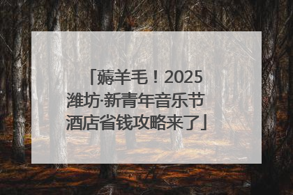 薅羊毛！2025潍坊·新青年音乐节酒店省钱攻略来了