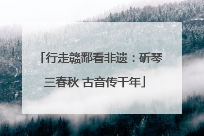 行走赣鄱看非遗：斫琴三春秋 古音传千年