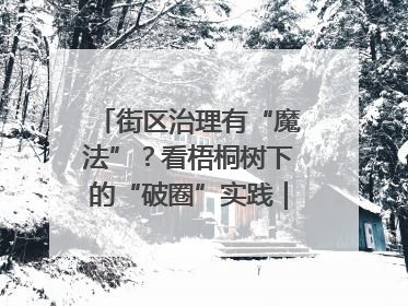 街区治理有“魔法”？看梧桐树下的“破圈”实践｜我在街区当书记