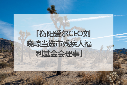 衡阳爱尔CEO刘晓琼当选市残疾人福利基金会理事