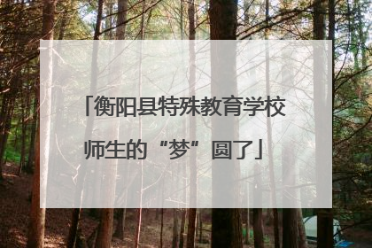 衡阳县特殊教育学校师生的“梦”圆了