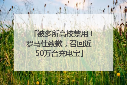 被多所高校禁用！罗马仕致歉，召回近50万台充电宝