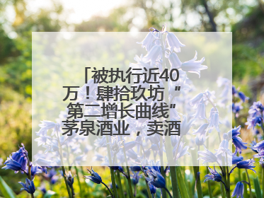 被执行近40万！肆拾玖坊“第二增长曲线”茅泉酒业，卖酒还是卖模式？