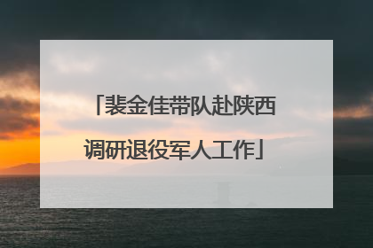 裴金佳带队赴陕西调研退役军人工作