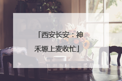 西安长安：神禾塬上麦收忙
