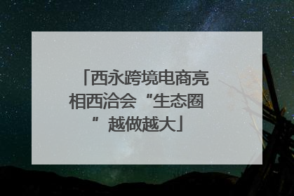 西永跨境电商亮相西洽会“生态圈”越做越大