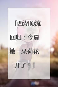 西湖顶流回归：今夏第一朵荷花开了！