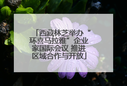 西藏林芝举办“环喜马拉雅”企业家国际会议 推进区域合作与开放