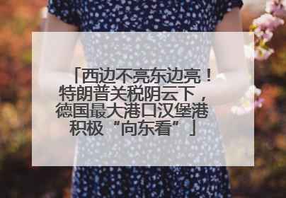 西边不亮东边亮！特朗普关税阴云下，德国最大港口汉堡港积极“向东看”