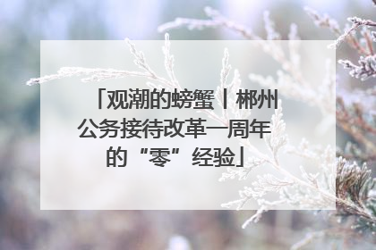 观潮的螃蟹丨郴州公务接待改革一周年的“零”经验