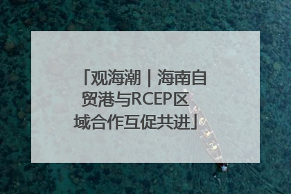 观海潮｜海南自贸港与RCEP区域合作互促共进