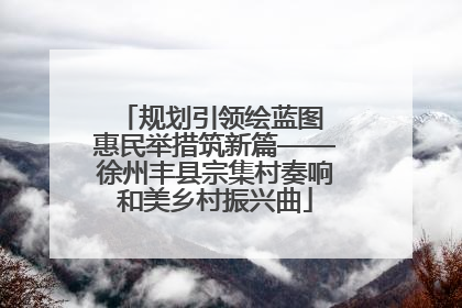 规划引领绘蓝图 惠民举措筑新篇——徐州丰县宗集村奏响和美乡村振兴曲