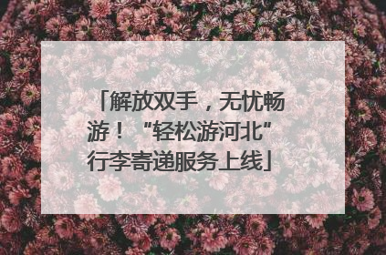 解放双手，无忧畅游！“轻松游河北”行李寄递服务上线